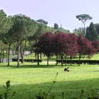 villa borghese